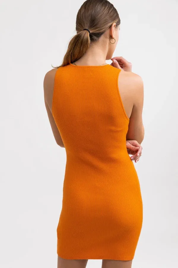 Aries Knit Mini Dress (Burnt Orange)