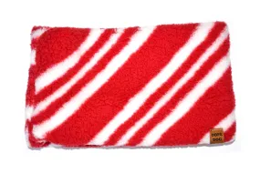 Candy Cane Dog Scarf