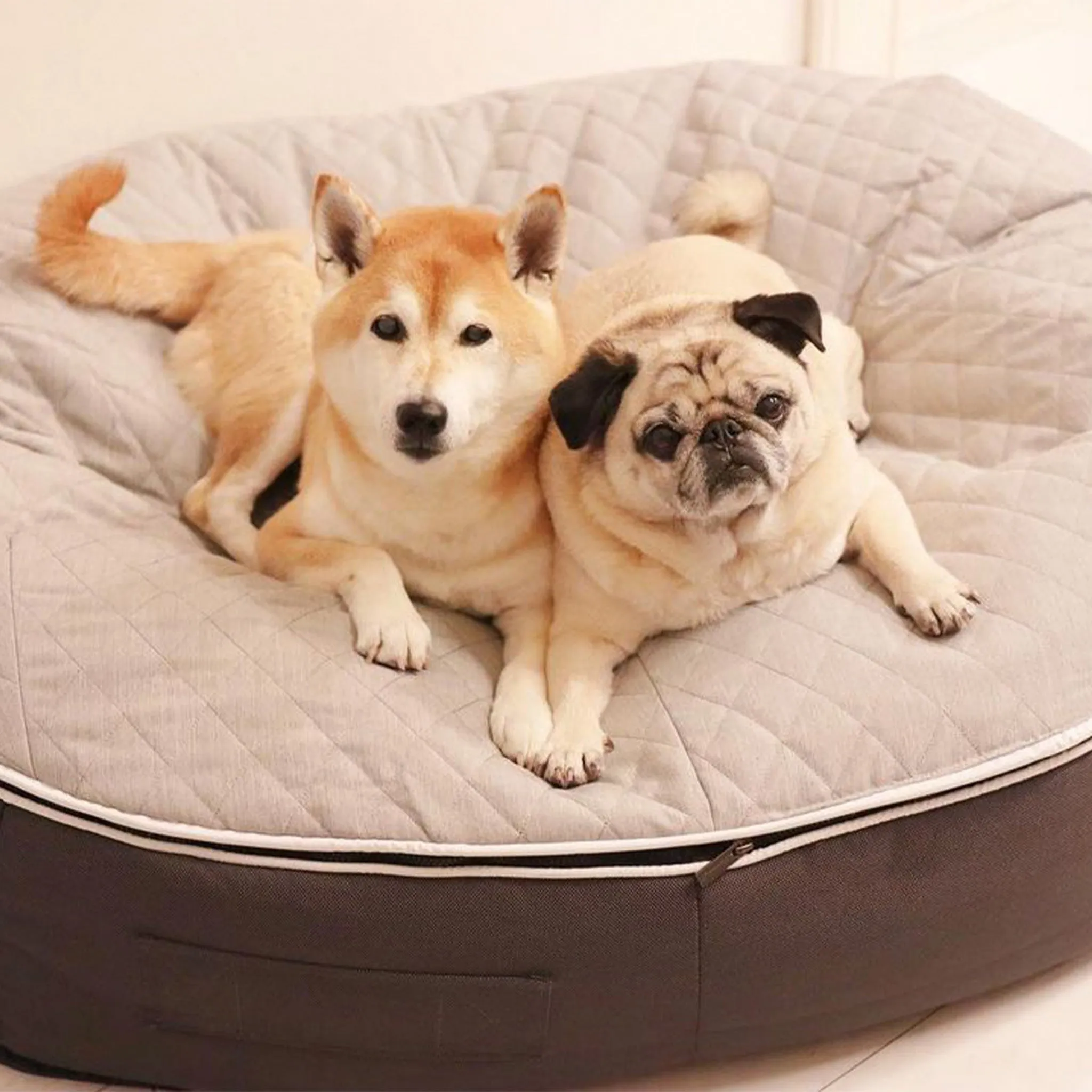 Large Luxury Dog Bed - Interior/Outdoor