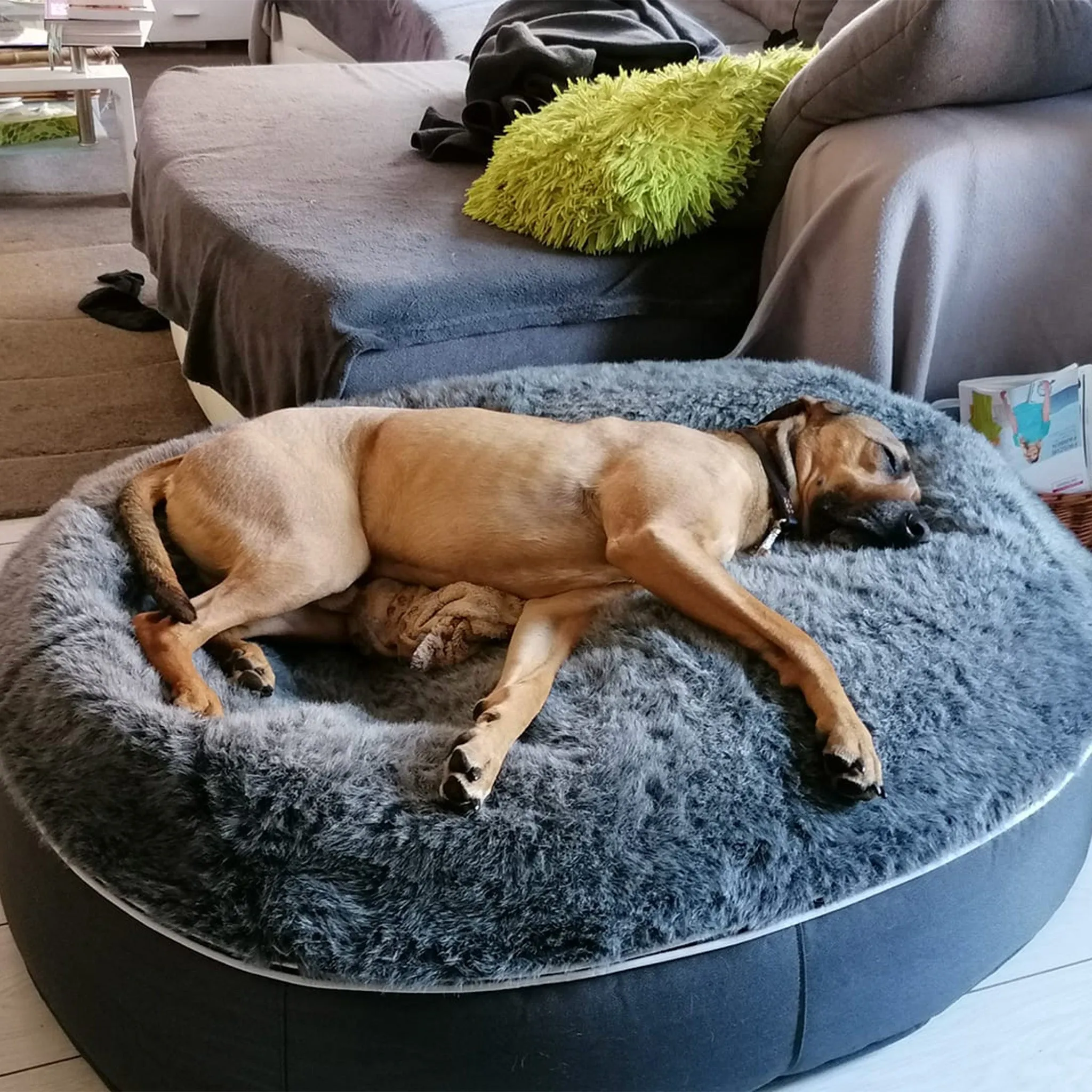 Large Luxury Dog Bed - Interior/Outdoor