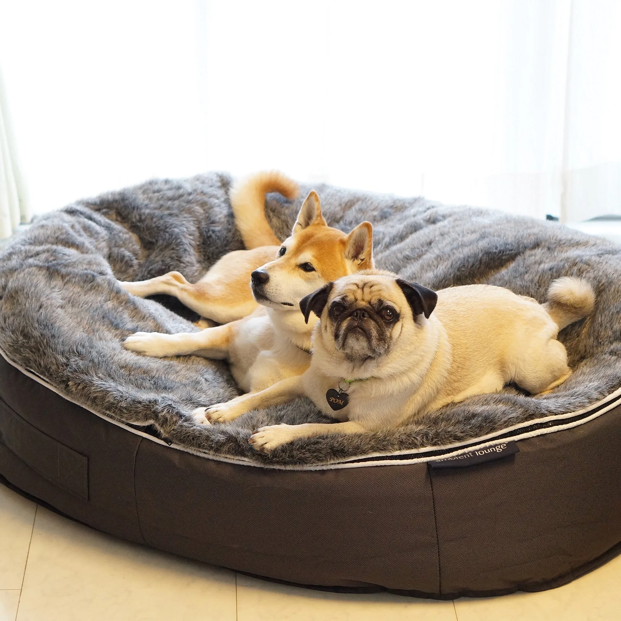 Large Luxury Dog Bed - Interior/Outdoor