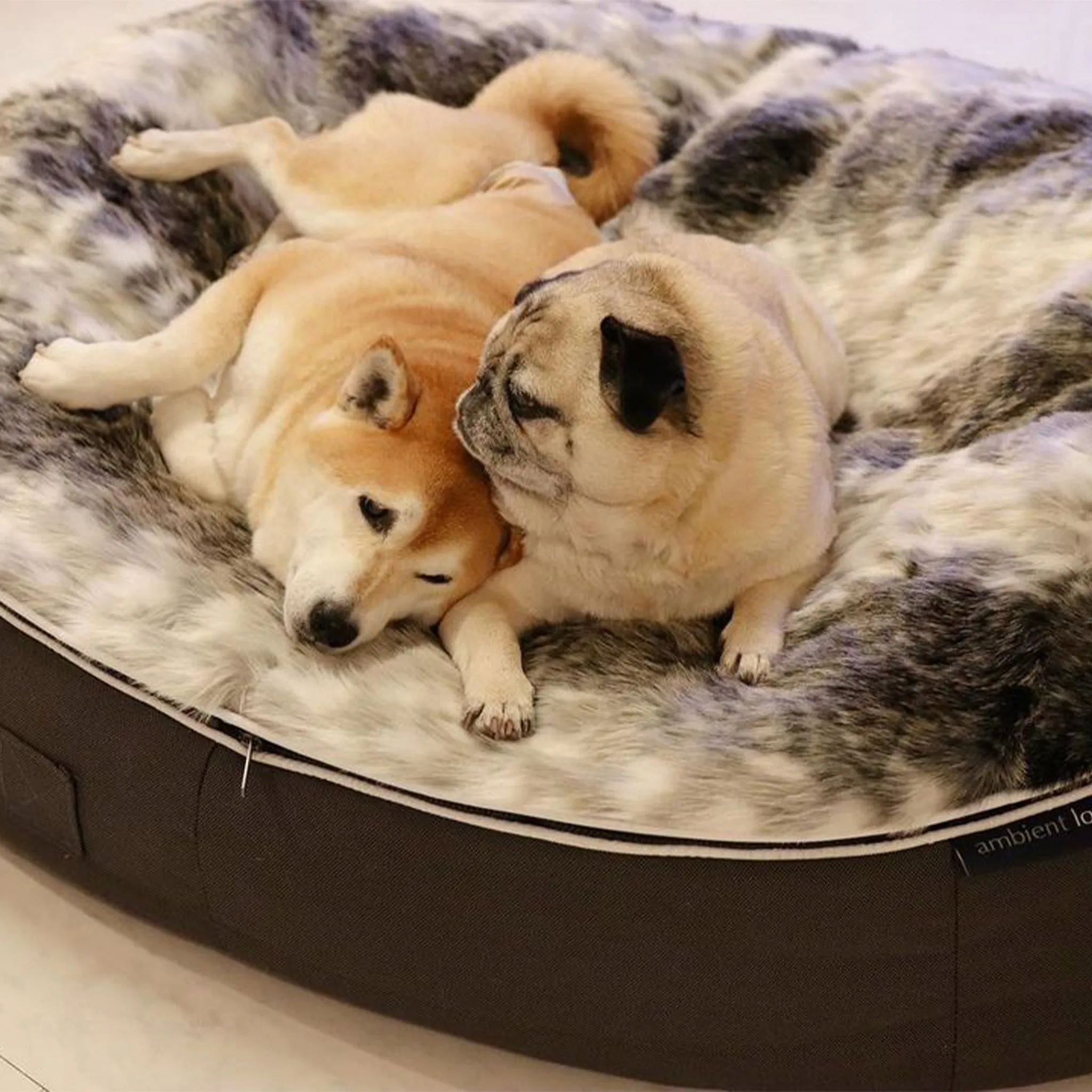 Large Luxury Dog Bed - Interior/Outdoor