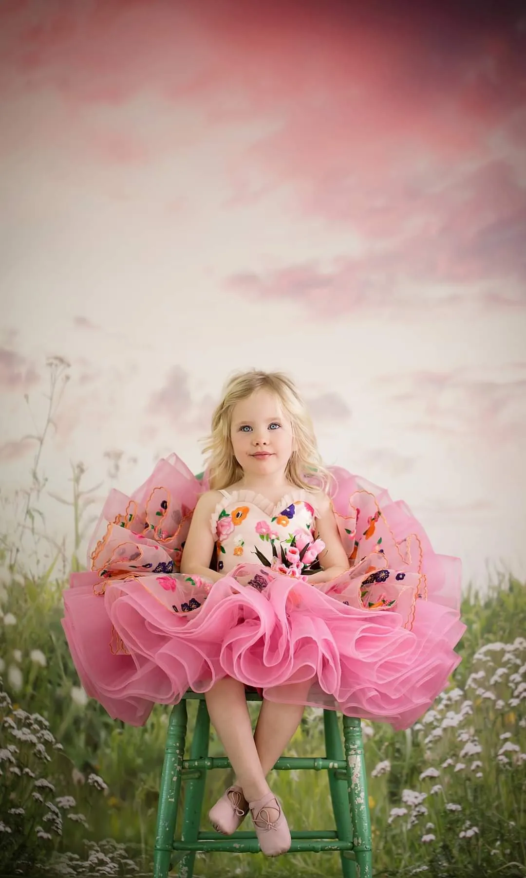 "Enchanted" -  Petal Length Dress Pink Skirt ( 4 Year - Petite 5 Year)